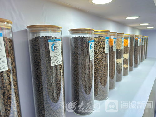 山東一貫寵物用品公司 以高質(zhì)量產(chǎn)品領(lǐng)跑寵物經(jīng)濟(jì)賽道