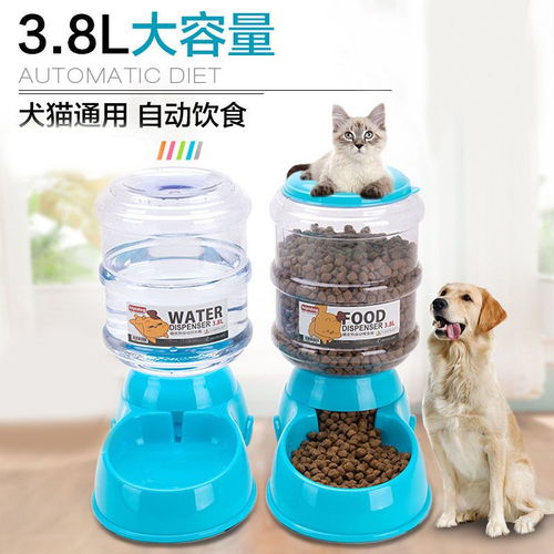 寵物飲水與喂食解決方案 自動(dòng)設(shè)備的優(yōu)勢(shì)與美容服務(wù)結(jié)合