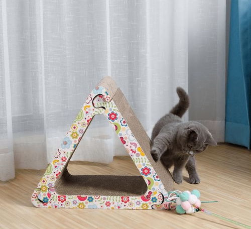 創(chuàng)新紙板寵物玩具，引領(lǐng)綠色產(chǎn)業(yè)新風(fēng)尚，年產(chǎn)值突破數(shù)千萬