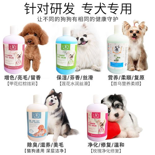 狗狗專用沐浴露 殺菌除臭，守護(hù)寵物的健康與舒適