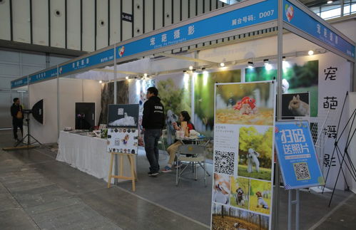 逛完南京寵物文化節(jié)，我感受到了“人不如狗”的滋味 寵物美容服務(wù)的極致關(guān)懷