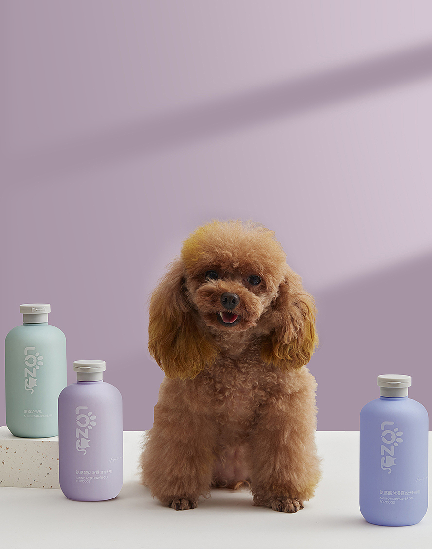 寵物用品攝影 捕捉萌寵與產(chǎn)品的完美瞬間