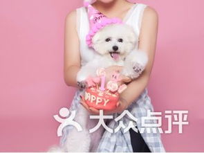 南京寵物食品用品電子商務(wù)技術(shù)服務(wù)