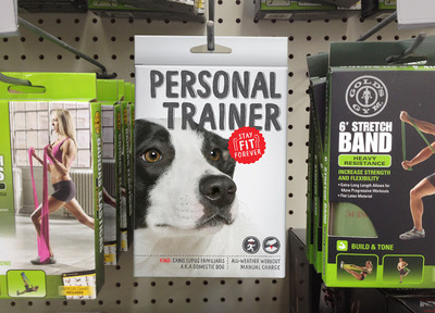 Packaged Pets 重新定義寵物用品包裝的電子商務(wù)解決方案